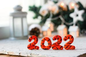 Прогноз фэн-шуй на 2022 год: Кролик, Дракон, Змея