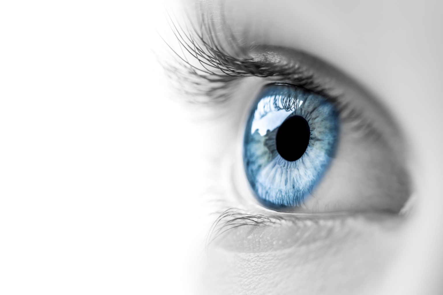 Усталость глаз: как бороться | 5 СФЕР