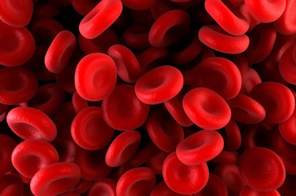 группа крови и характер